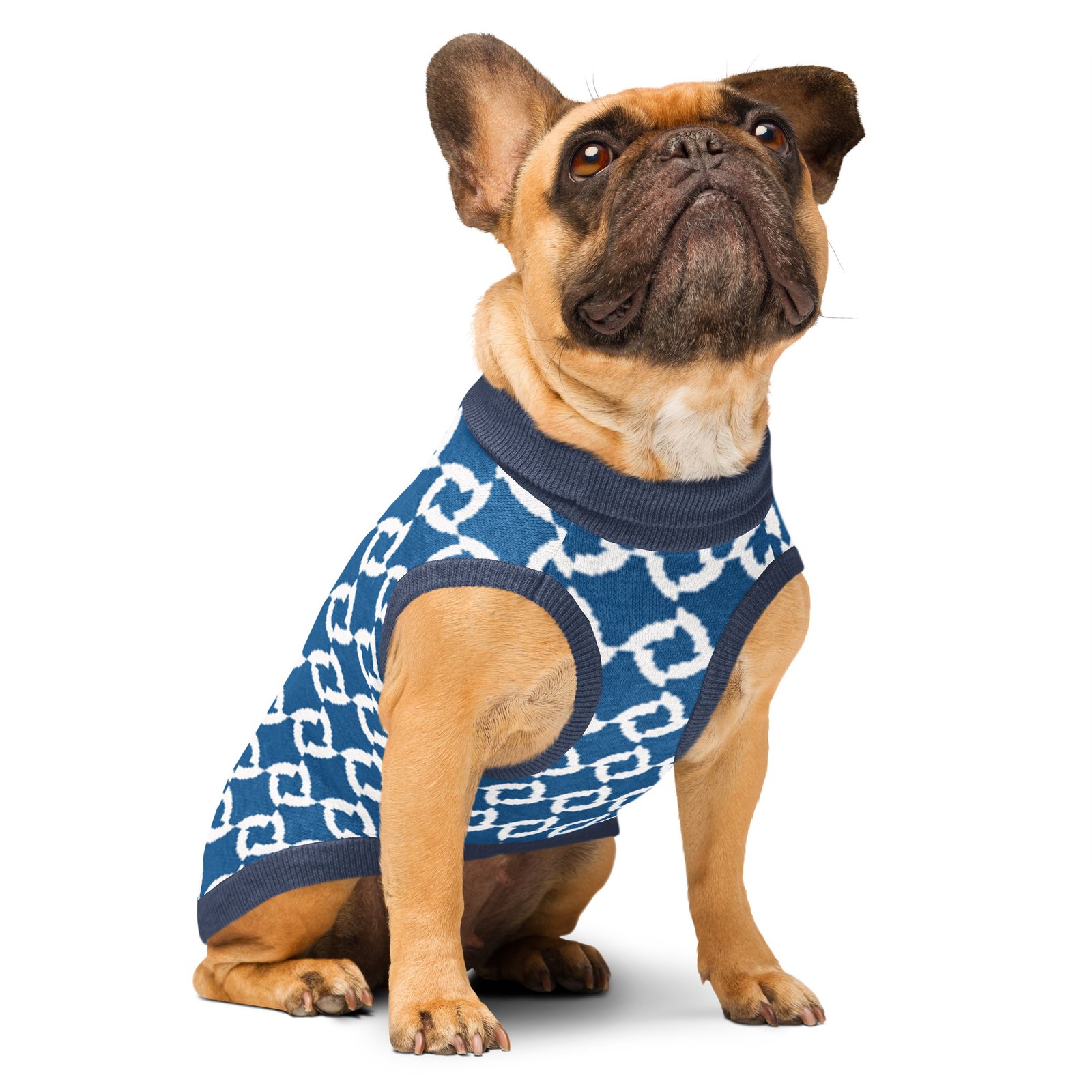 Arlo Knitted Pet Sweate - Image 5