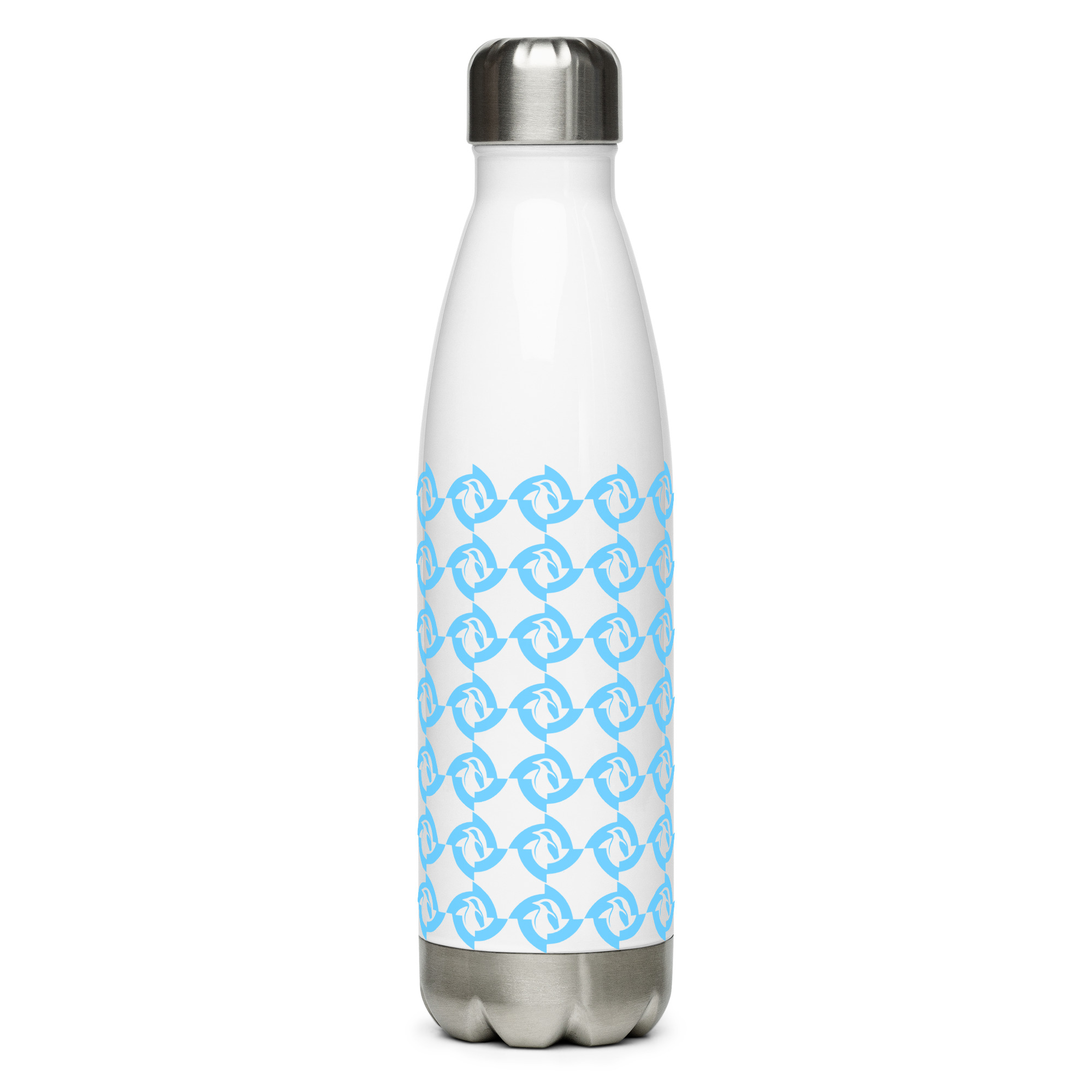 Stainless steel water bottle